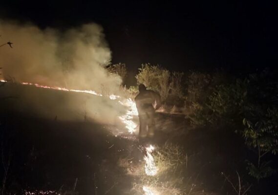 За минувшие выходные крымские пожарные потушили почти три десятка возгораний сухой растительности