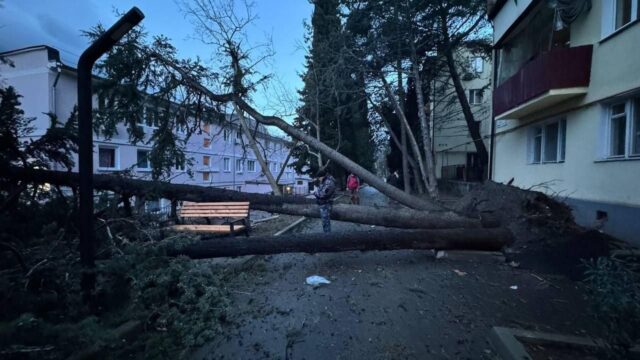 На автодорогу под Алуштой сошел селевый поток
